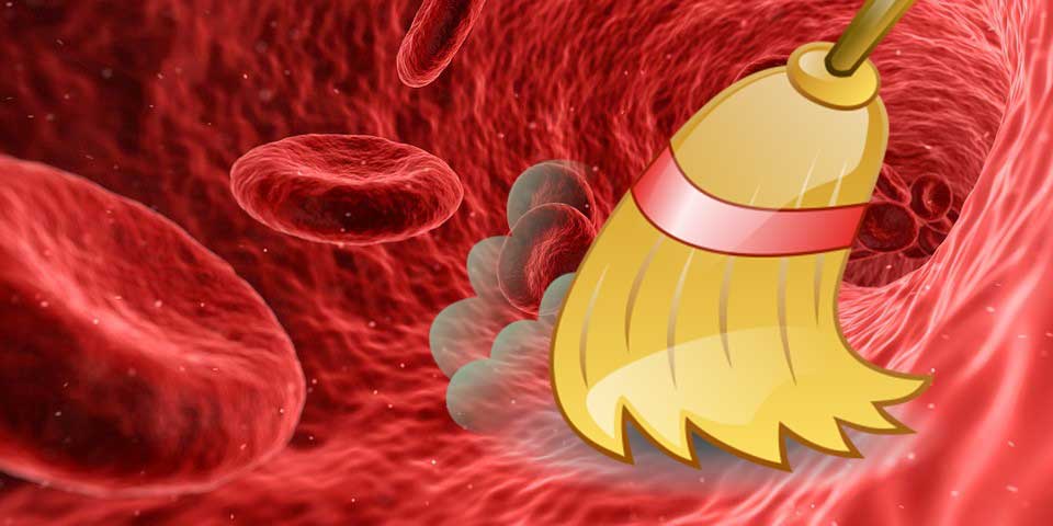 Read more about the article Curățarea sângelui și activarea limfei: 6 cele mai puternice remedii!