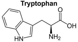 triptofan