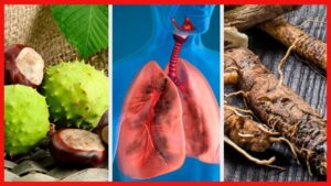 Read more about the article 4 remedii naturiste pentru a întări plămânii și a îmbunătăți respirația