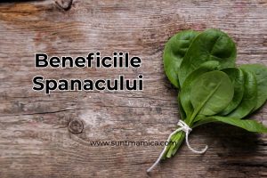 Read more about the article Spanac – Beneficii și Proprietăți
