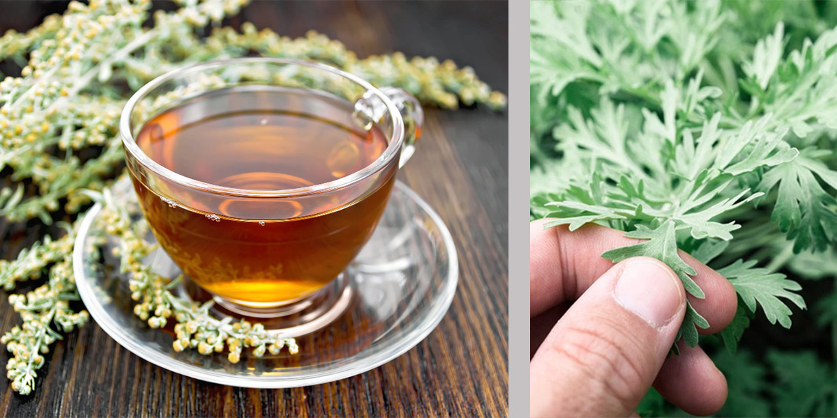 Read more about the article Ceai de pelin: proprietăți utile și medicinale, contraindicații