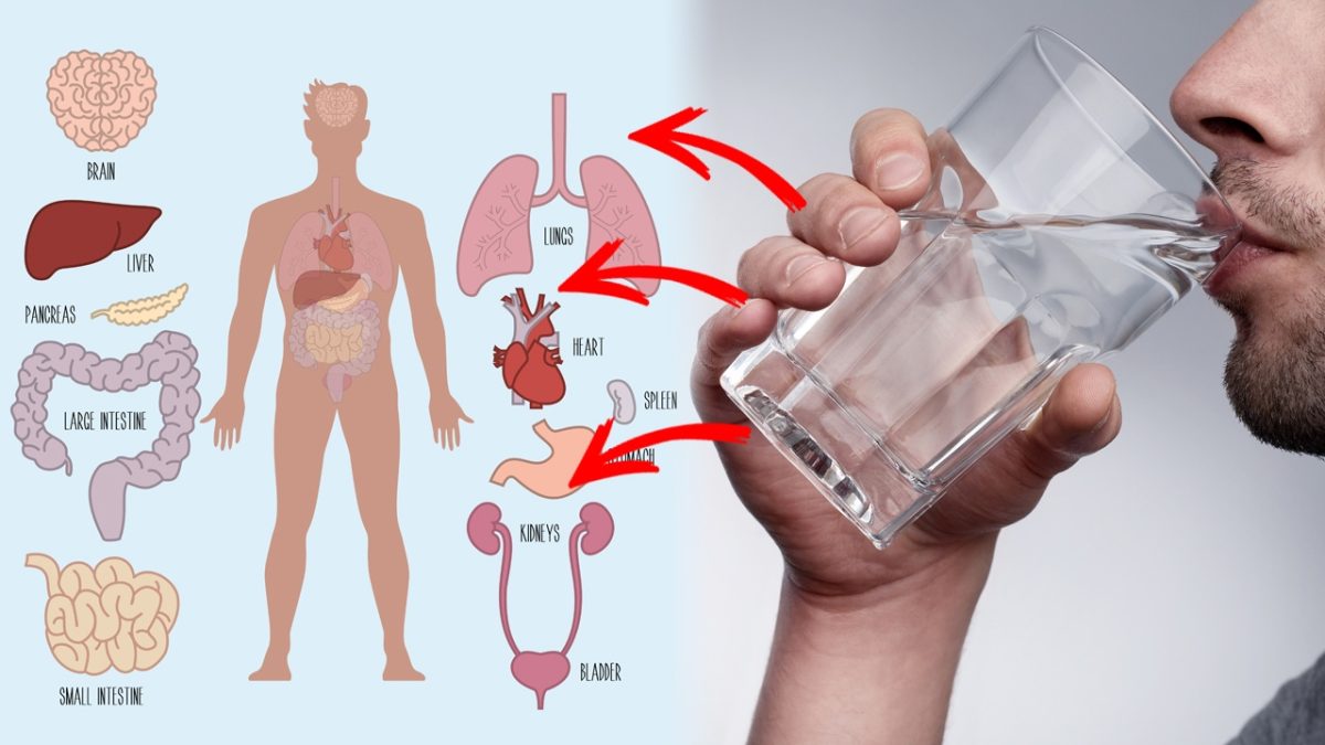 Read more about the article 7 motive convingătoare pentru a bea apă caldă pe stomacul gol